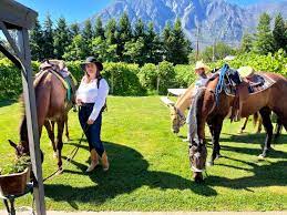 Okanagan Horseback Wine Tour - Image 2
