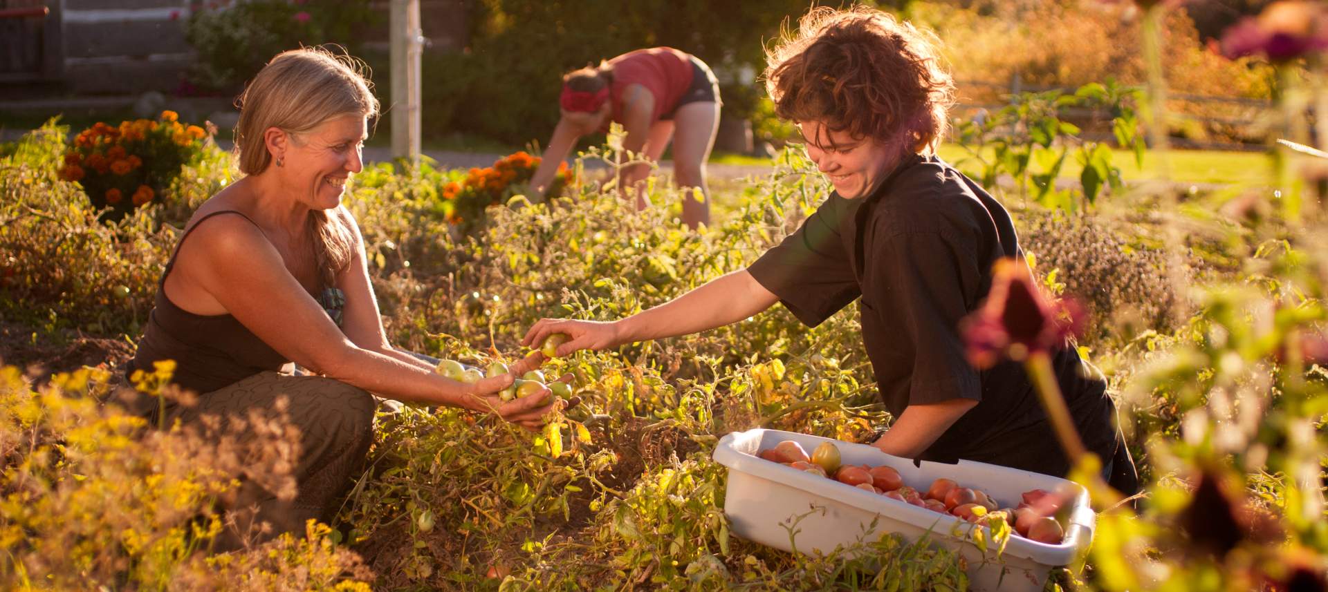 Okanagan Organic Farm Tour - Image 2