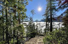 Okanagan Wildflower Hiking Tour - Image 2