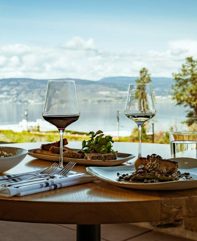 Okanagan Culinary Foraging Adventure - Image 2