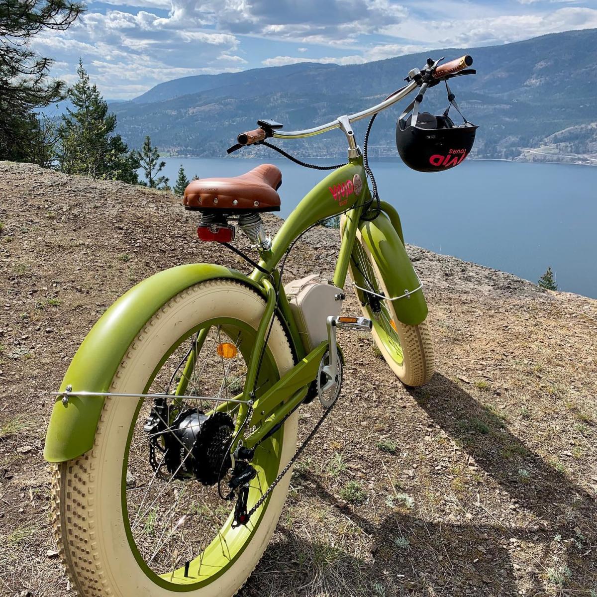 Okanagan E-Bike Wine Tour - Image 2