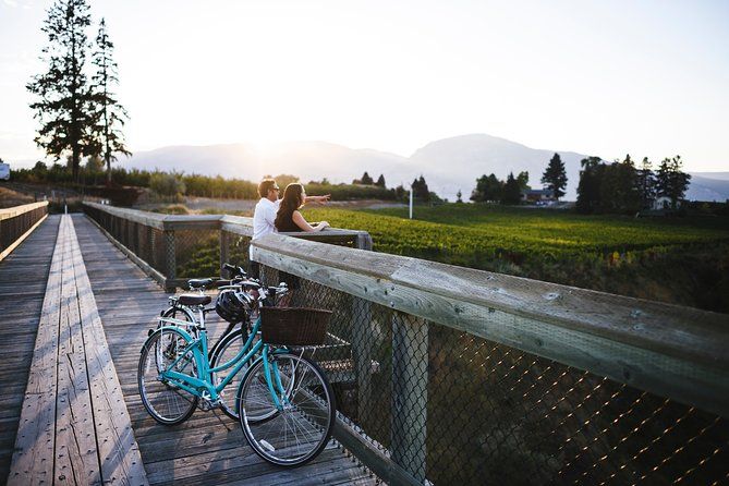 Okanagan Vineyard Cycling Tour - Image 2