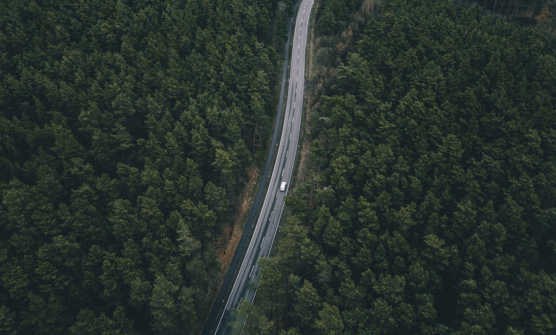 Long road through the forest from above