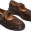Brown Platform Mary Jane Shoes