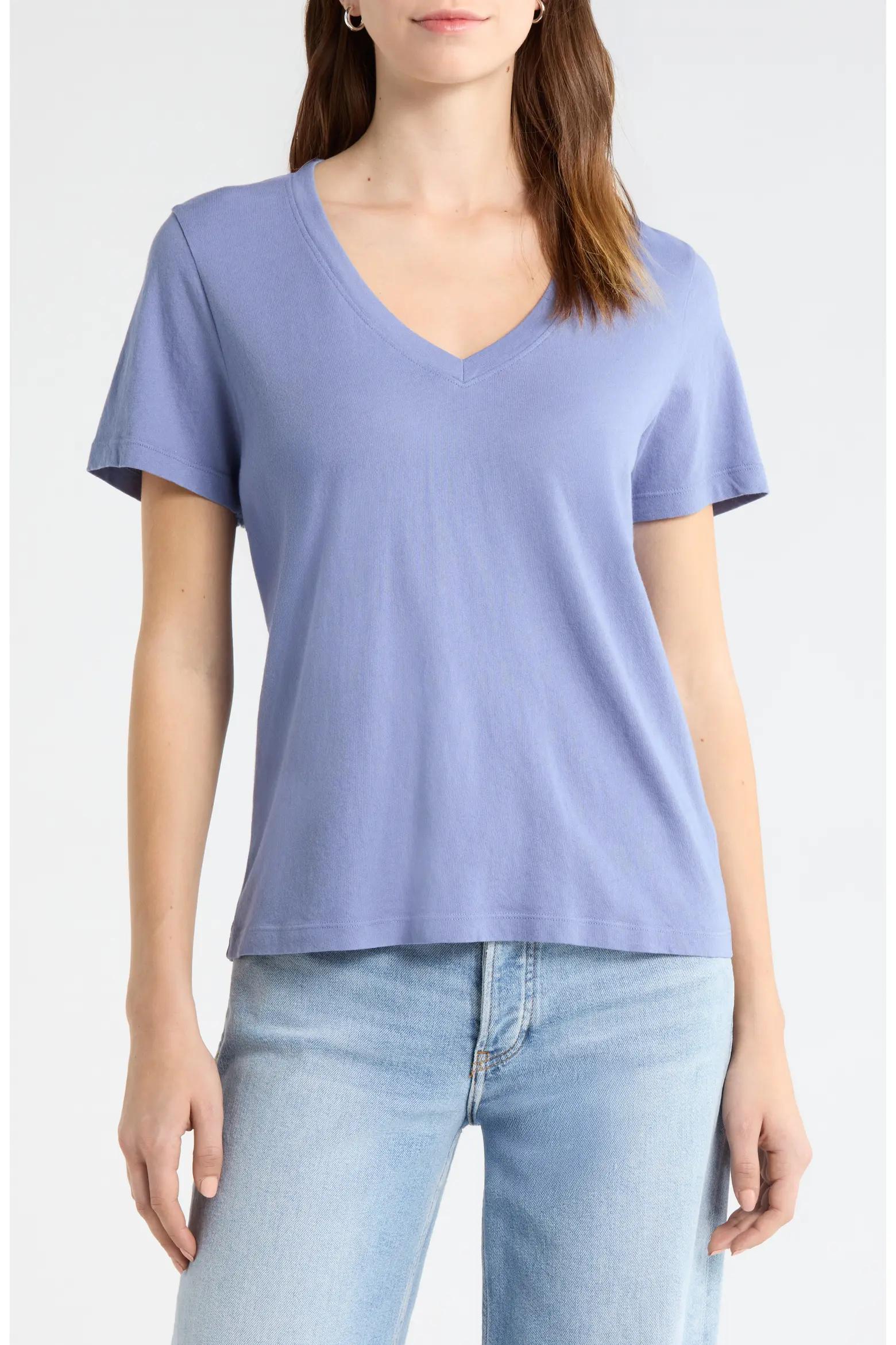 Periwinkle V-Neck Tee