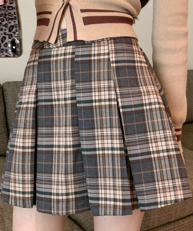 Brown Plaid Pleated Mini Skirt