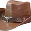 Brown Cowboy Hat