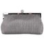 Silver Pleated Frame Clutch