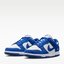 Blue and White Low-Top Sneakers