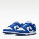 Blue and White Low-Top Sneakers