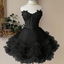 Black Lace Bodice Tulle Ruffle Mini Dress