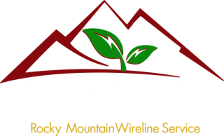 RMWS Logo