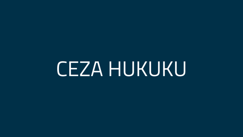 Kamusal Alanda Çekim, Hedefli Kayıt ve Sosyal Medyada Paylaşım: Kişilik Hakları, TCK ve KVKK Açısından Değerlendirme