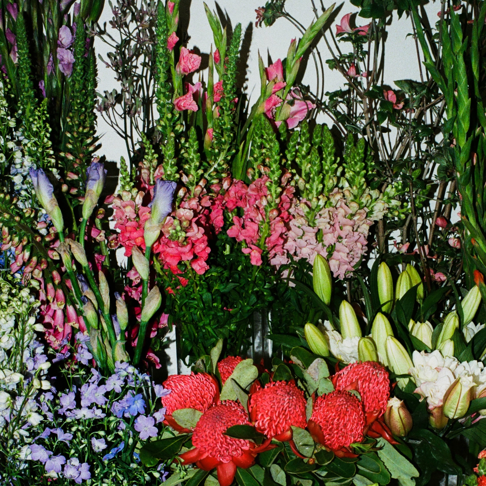 flowers