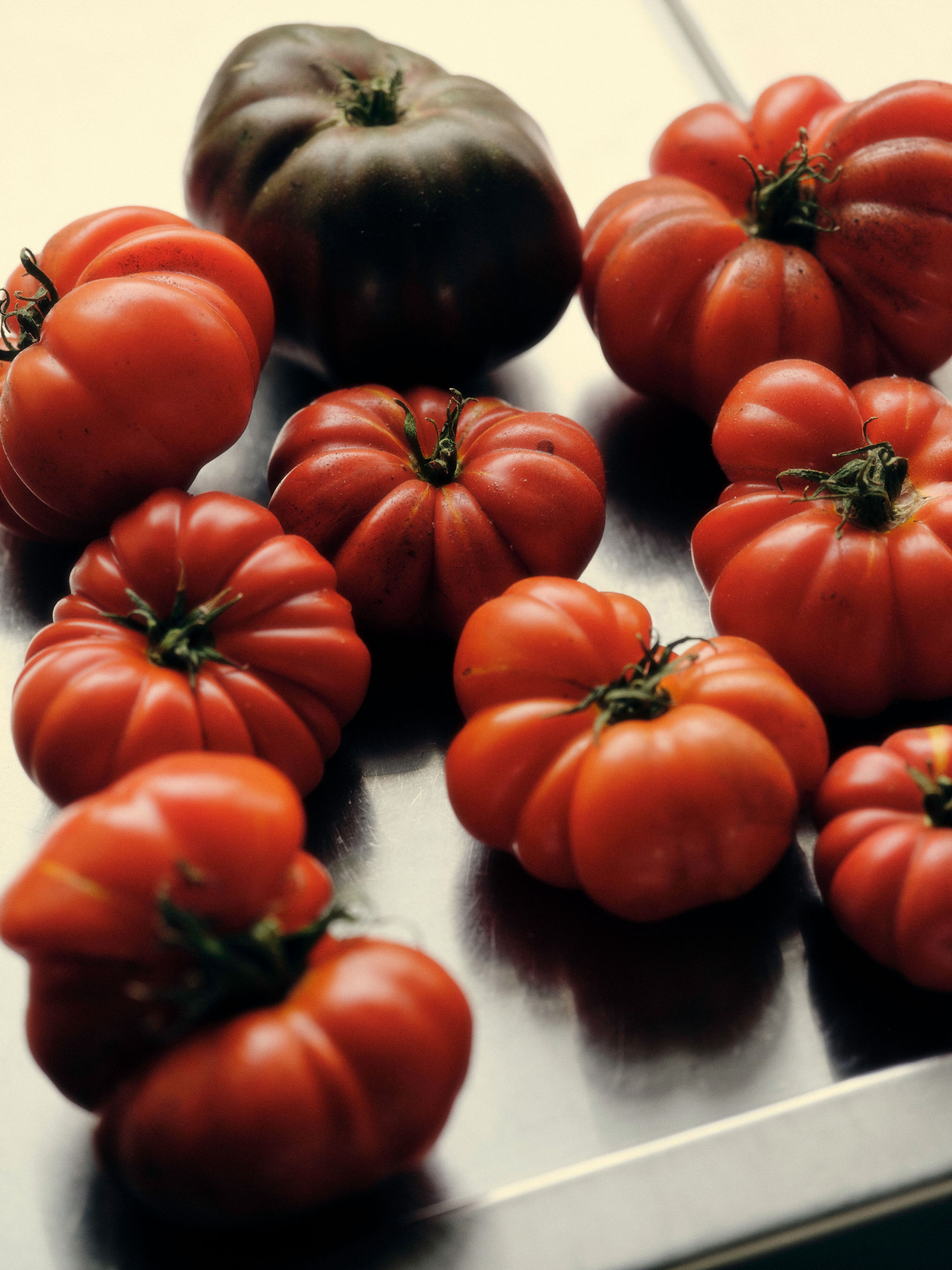 tomatoes