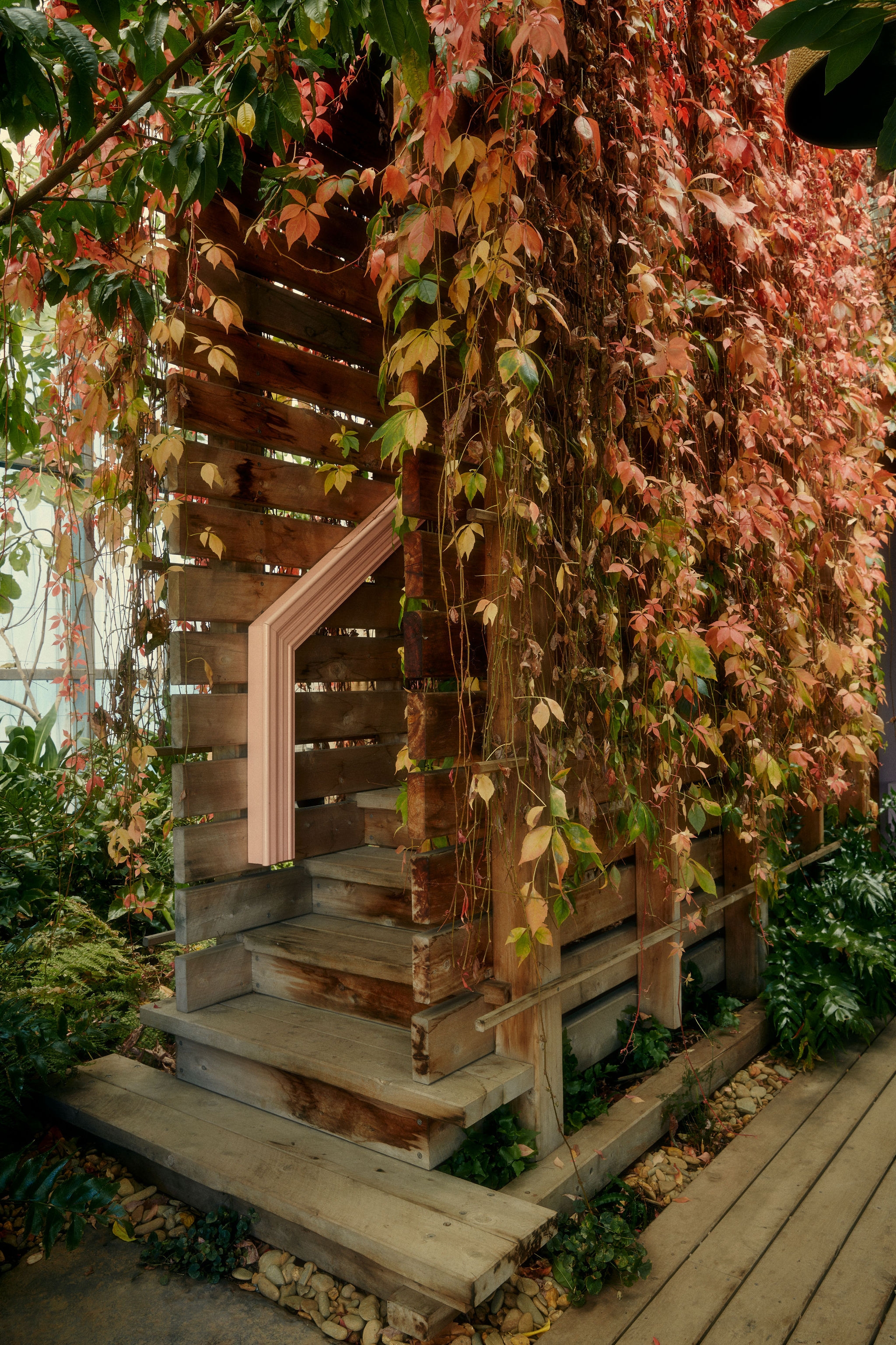 A tree and stairs