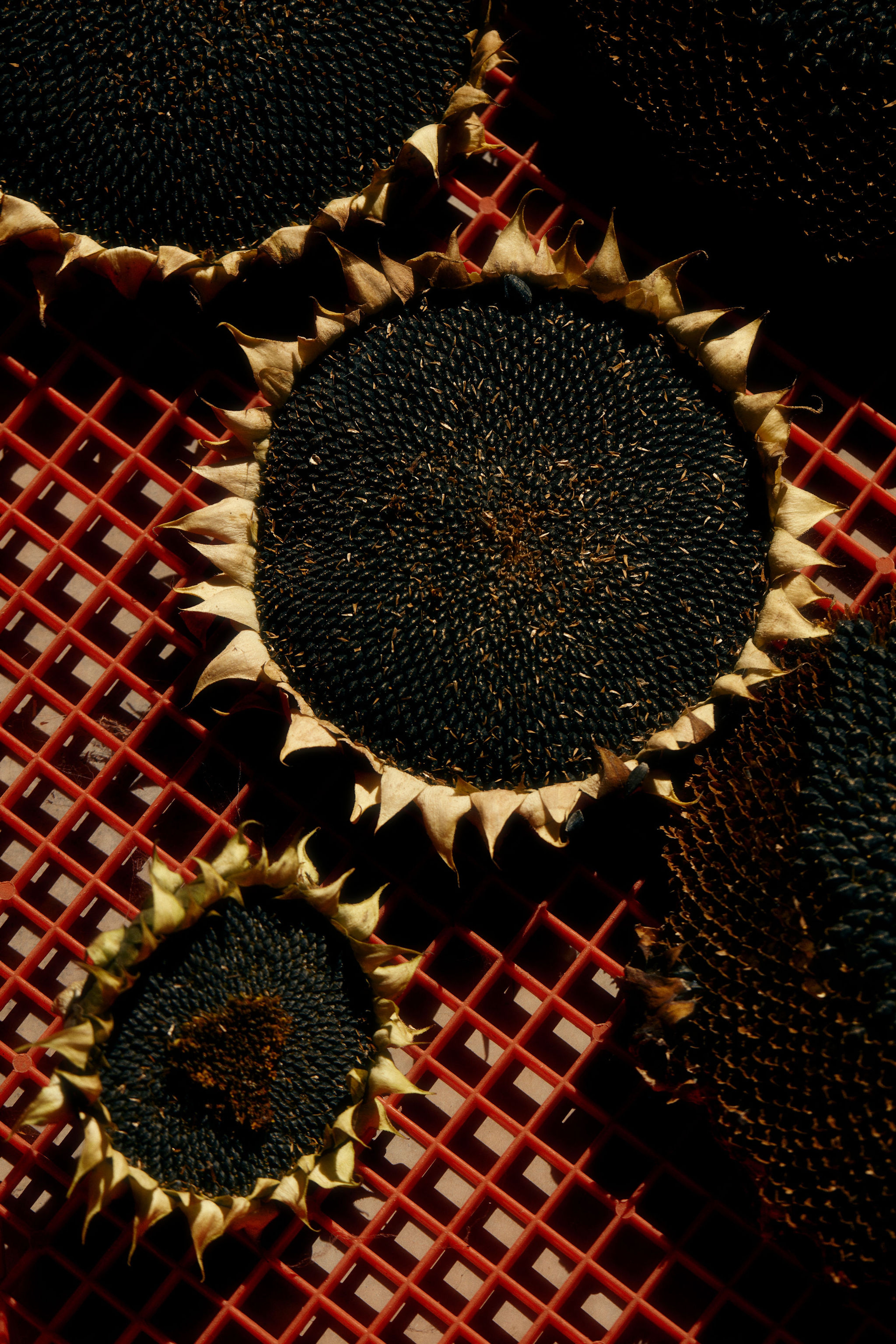 A shelf decorated with books, vases and ceramics