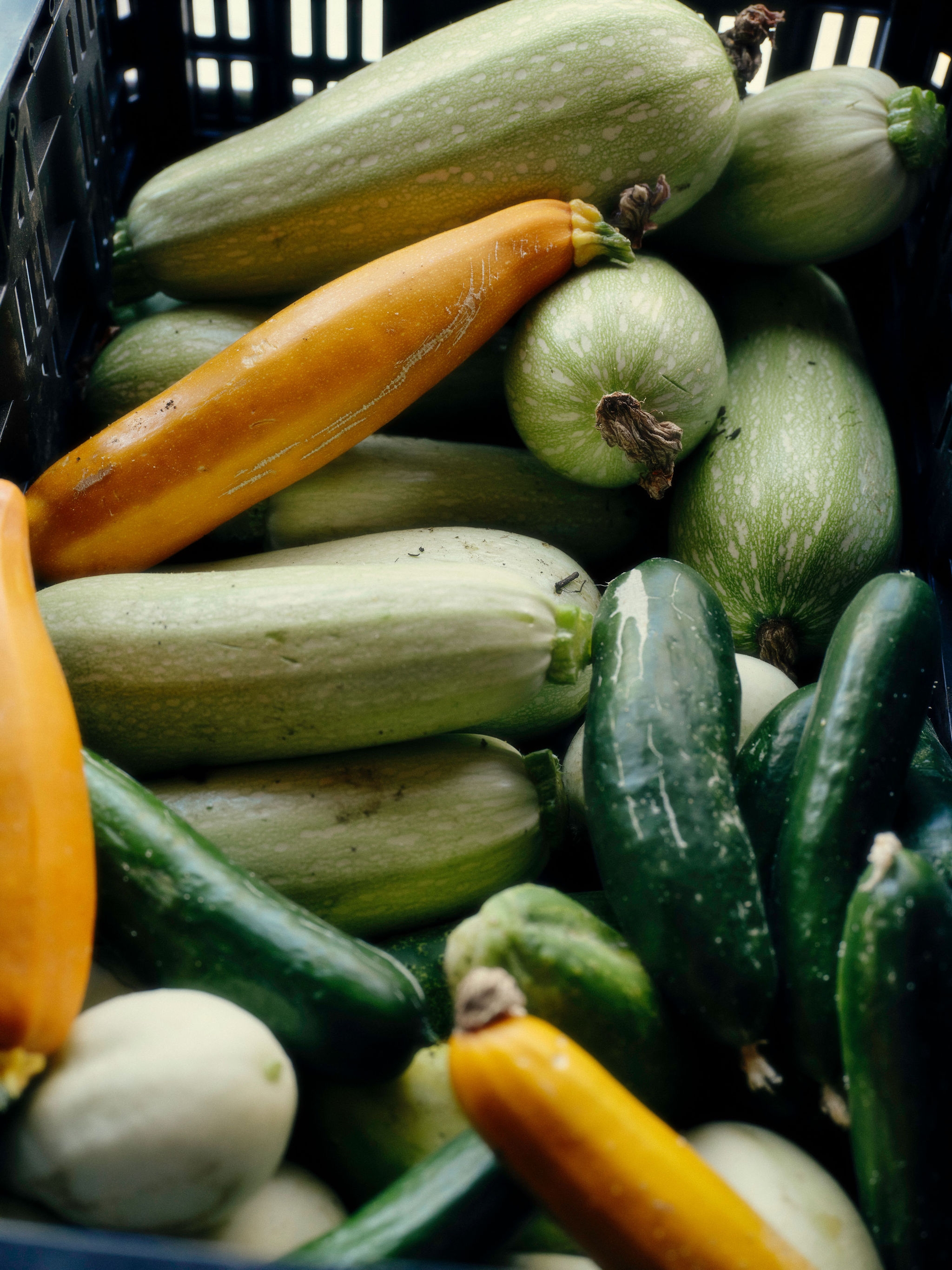 A wall with cracks and washed colours