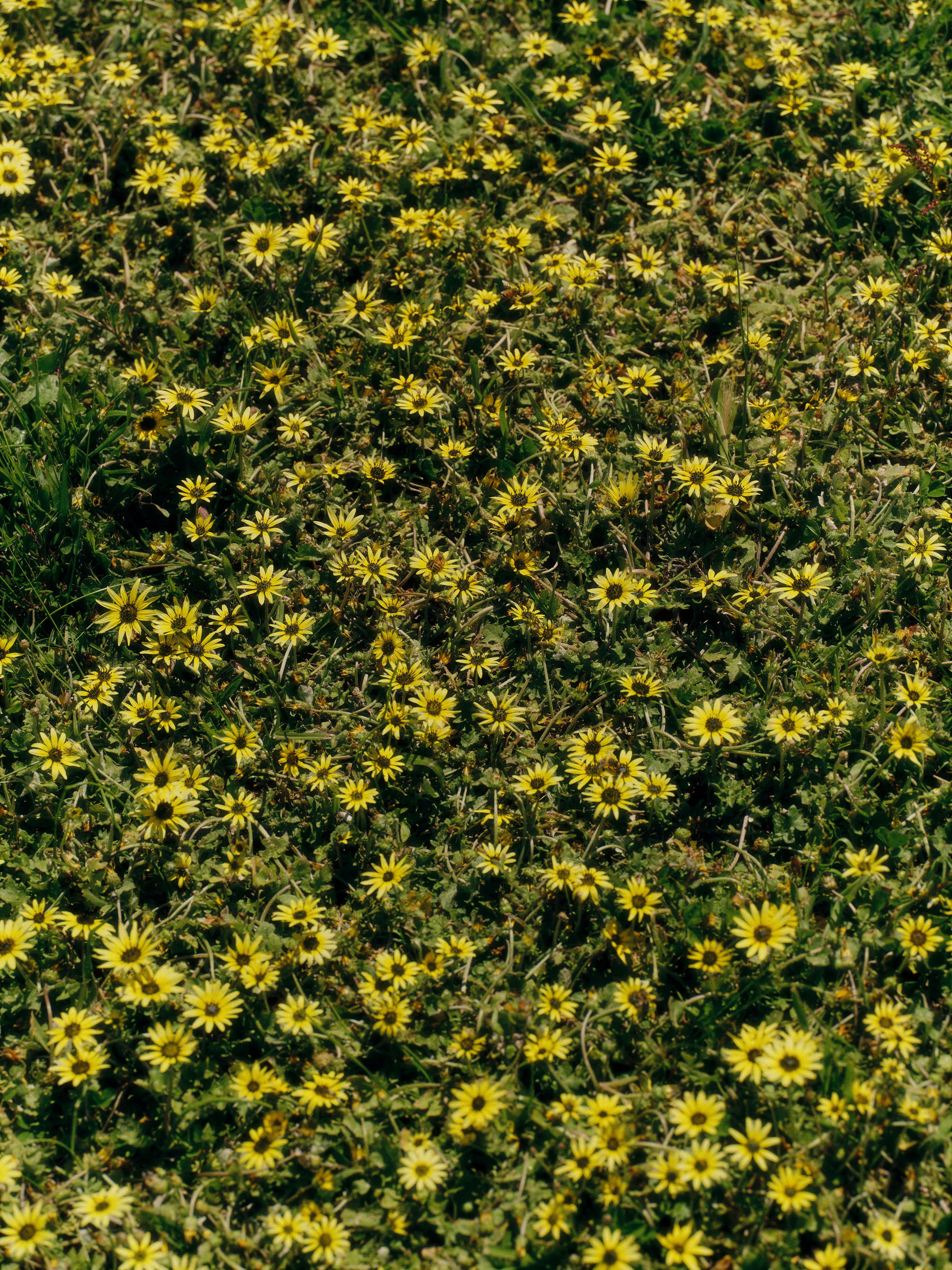A collection of crockery arranged in a wooden rack