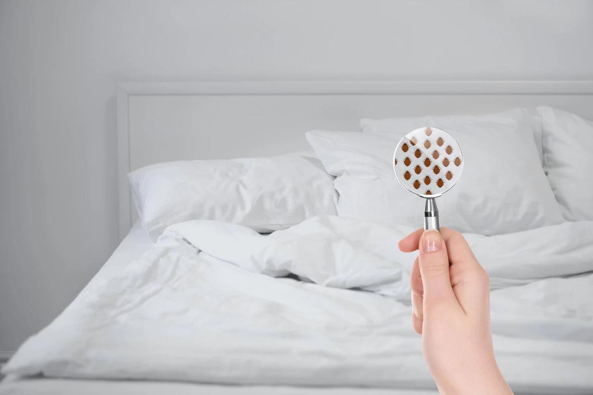 Five Tips to Check Your Hotel Room for Bed Bugs – Is This Still Necessary Today?