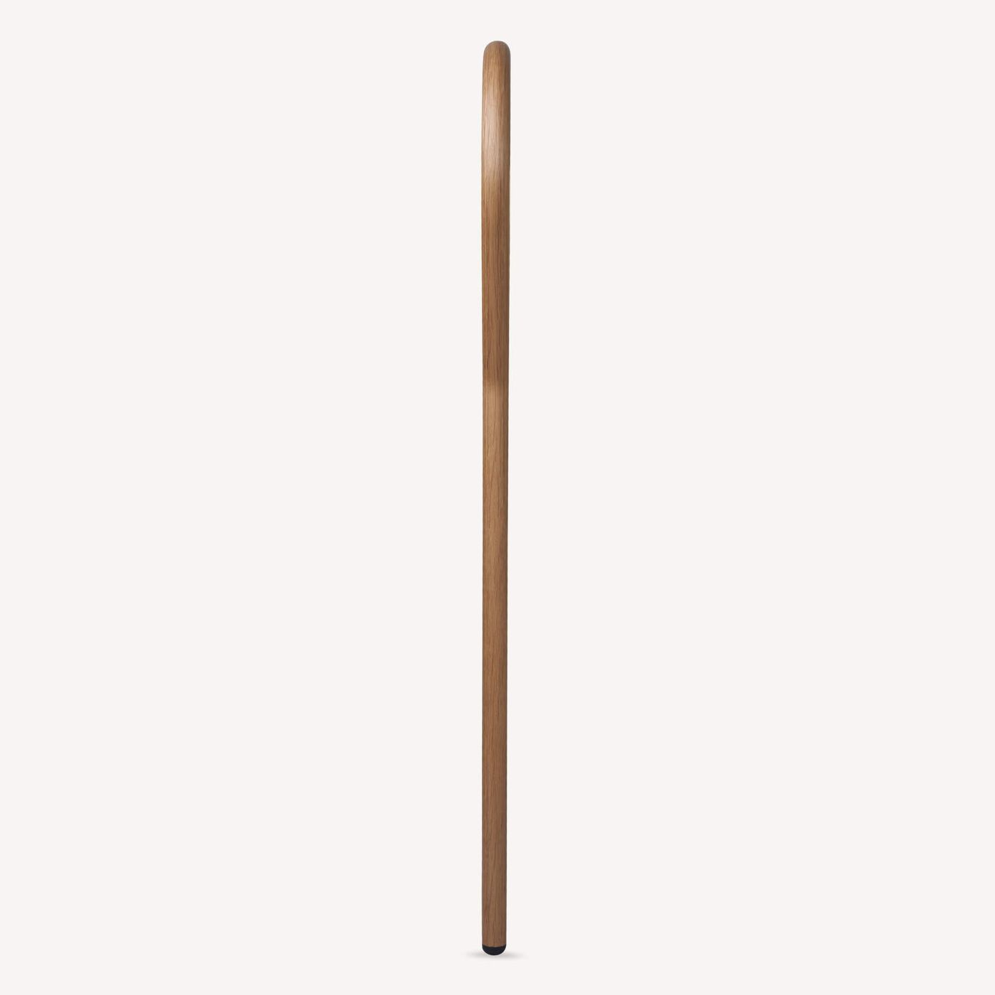 Circle Cane media 3