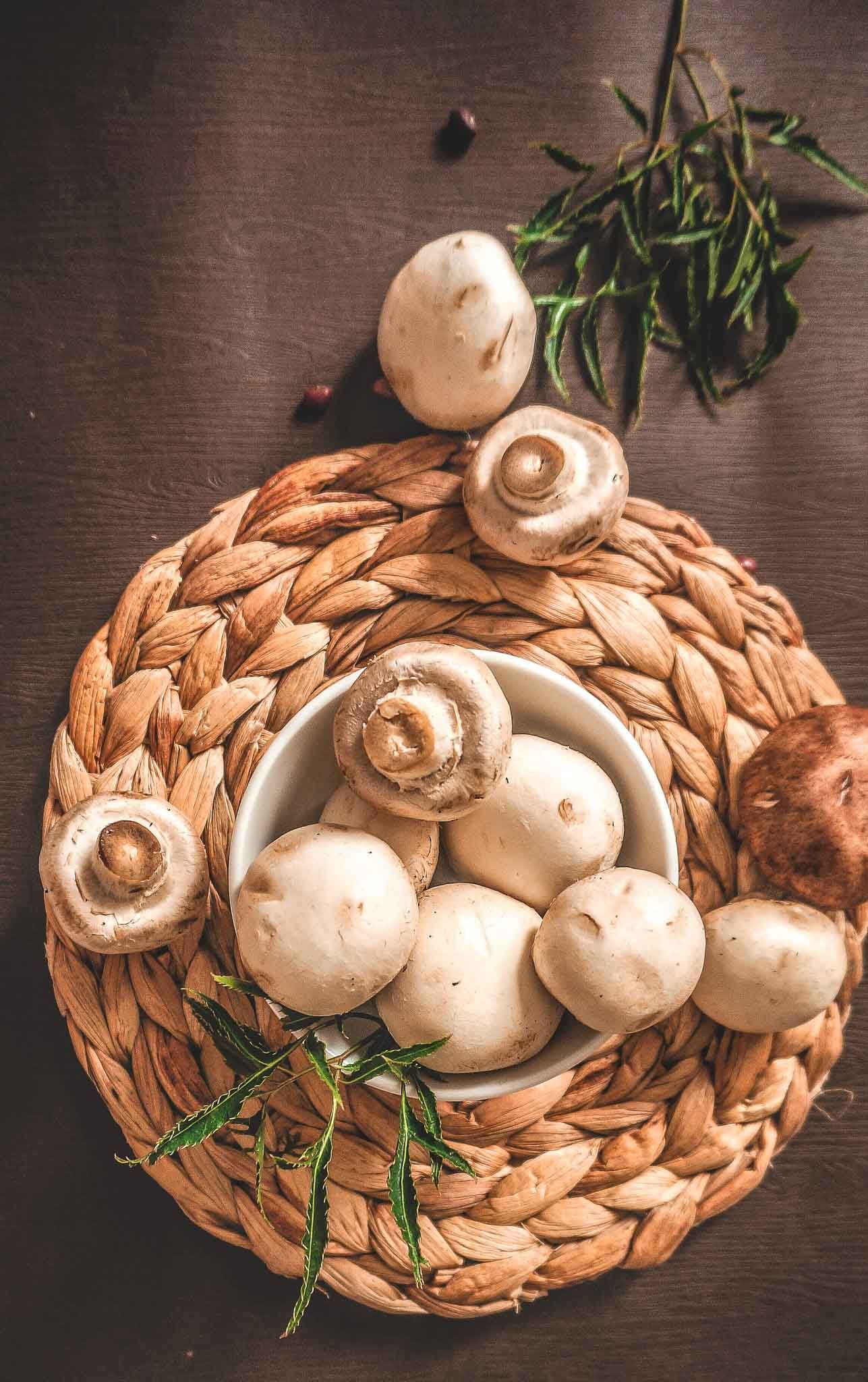 Champignon | Kategori