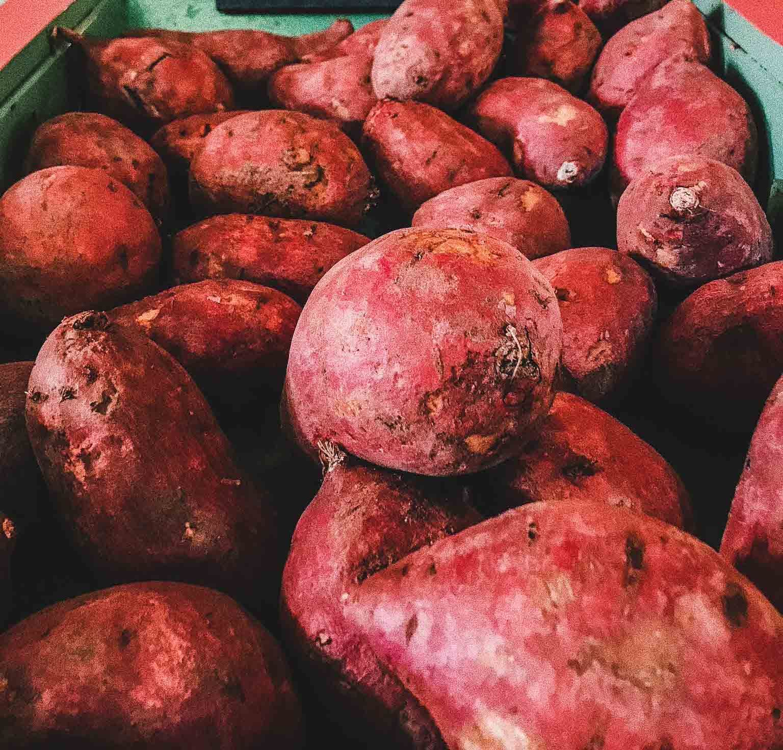 Sødekartoffel | Kategori