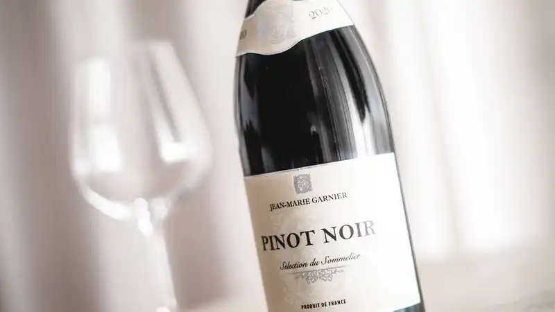  Anmeldelse af rødvine fra Netto | Jean-Marie Garnier, Pinot Noir, Frankrig, 2020 | Gastrologik