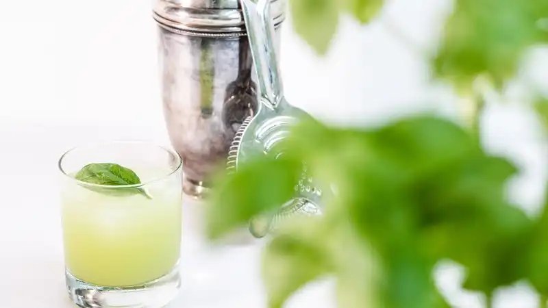 Gin basil smash | Nemme gin cocktails | Gastrologik