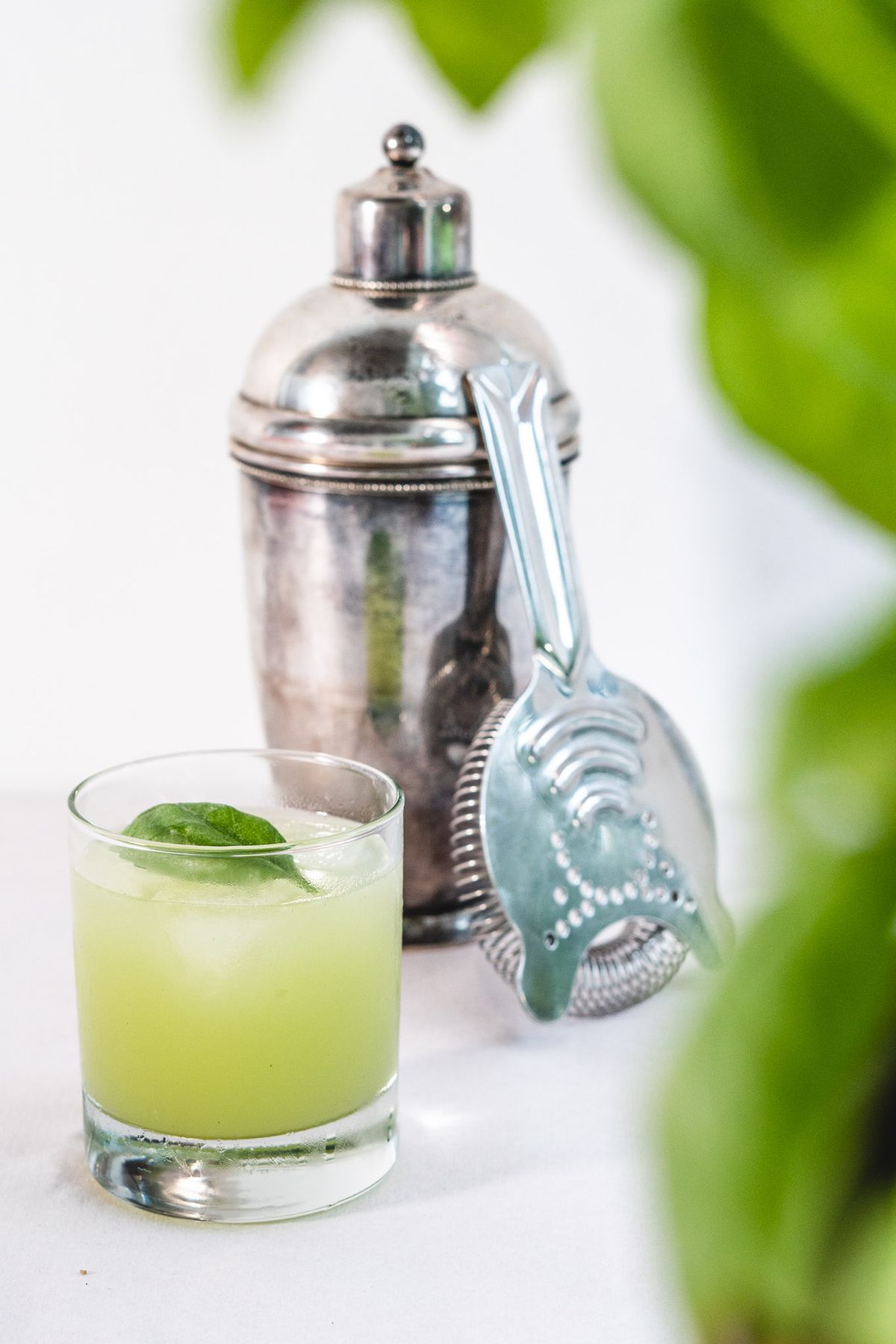Gin Basil Smash Opskrifter Gastrologik