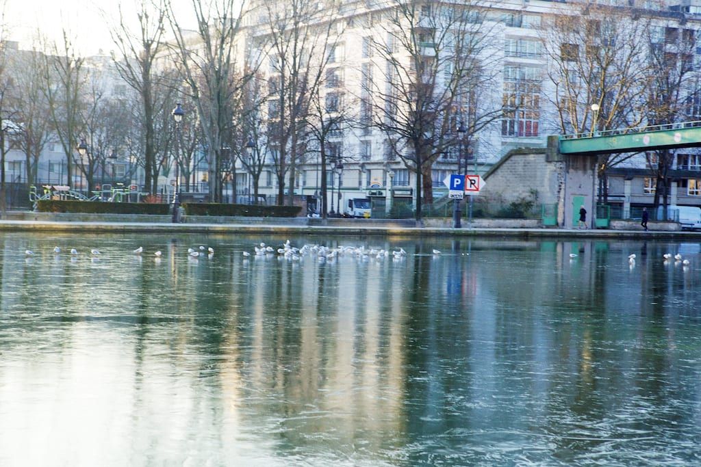 _MG_6387