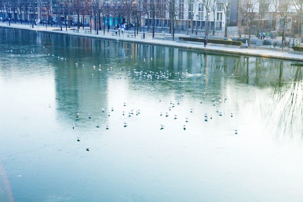 _MG_6422