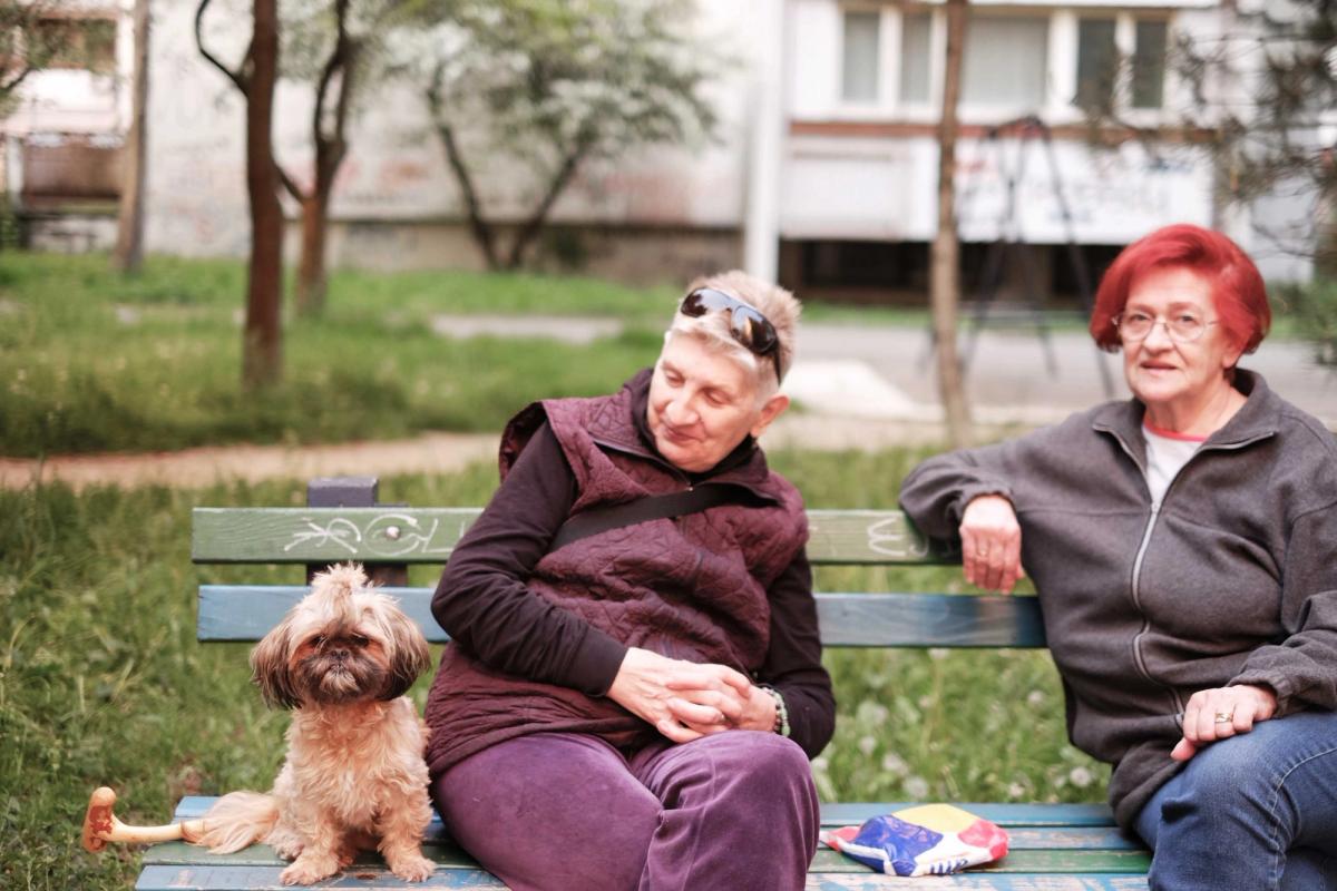 chien chien (c) Guillaume Blot