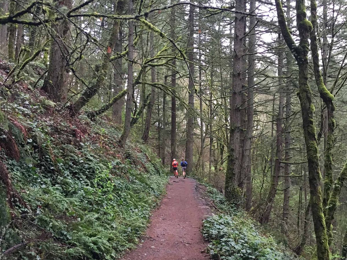 Forest Park