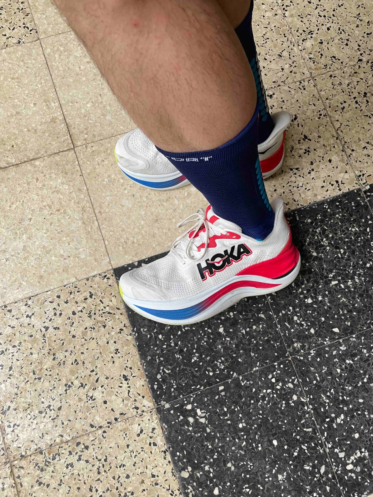 Hoka Skyward X