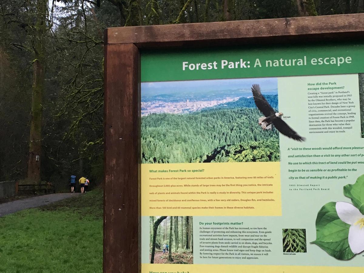 Forest Park