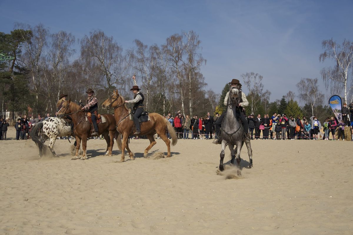 Les Foulées de la Mer de Sable 2015 Cowboys