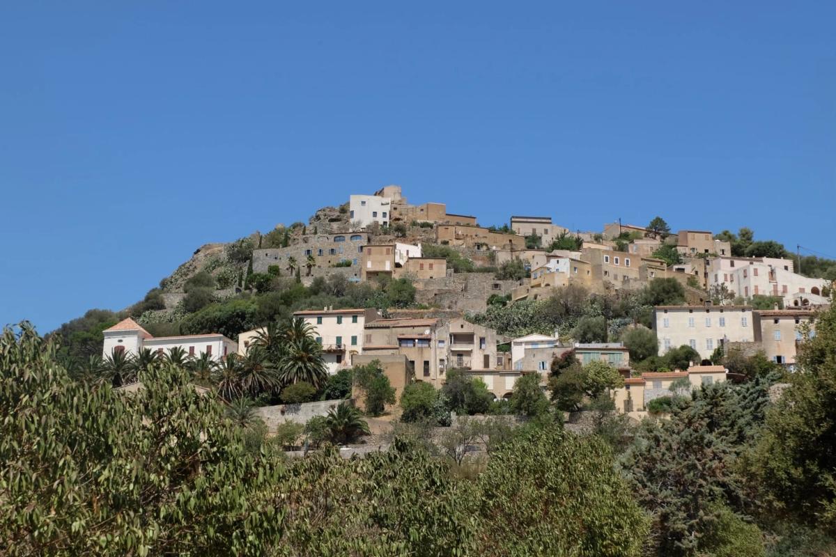 corse