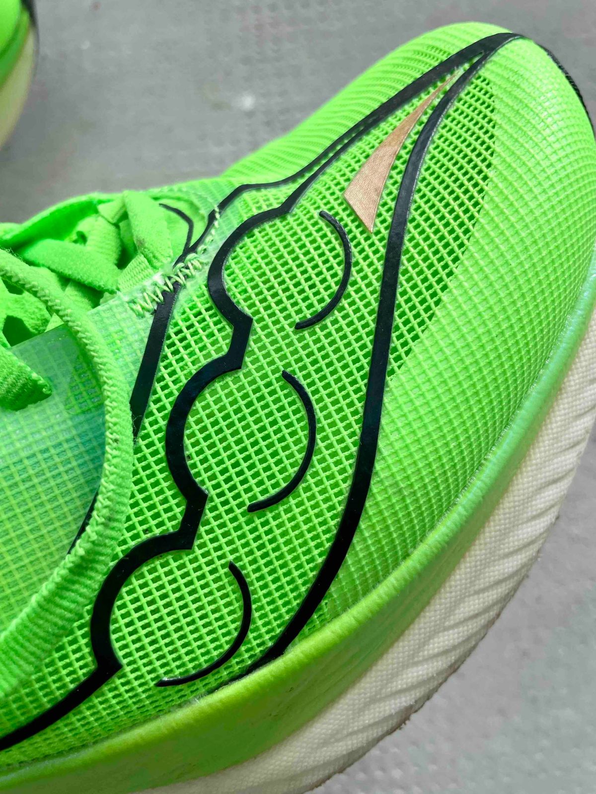 Saucony Endorphin Elite Test