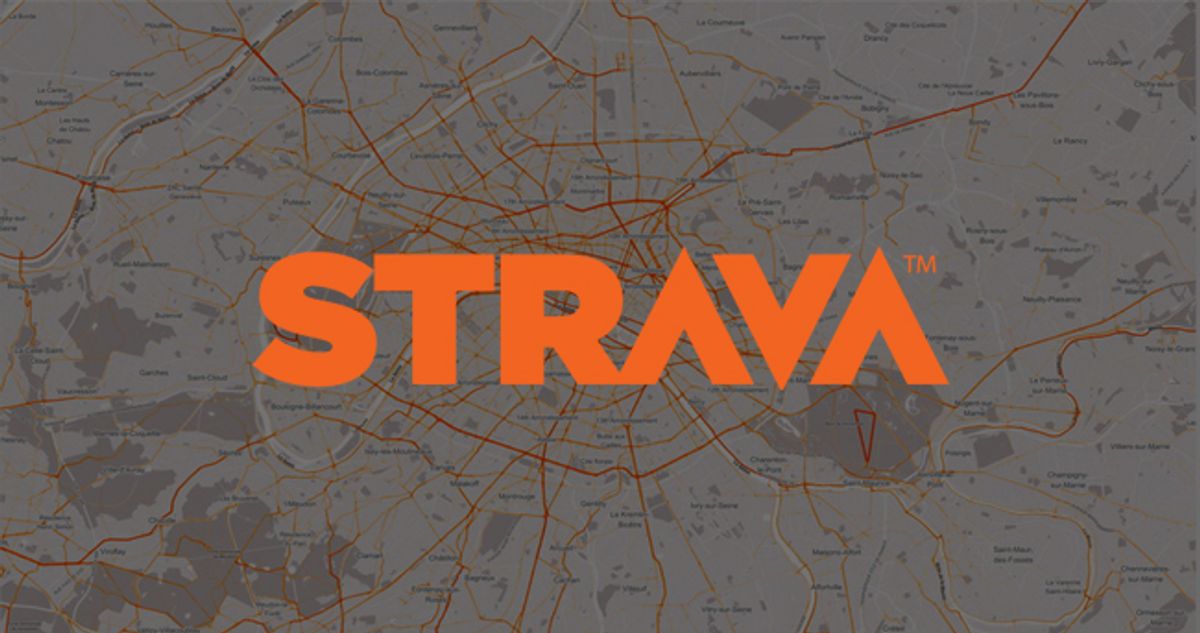 STRAVAINSIGHT-