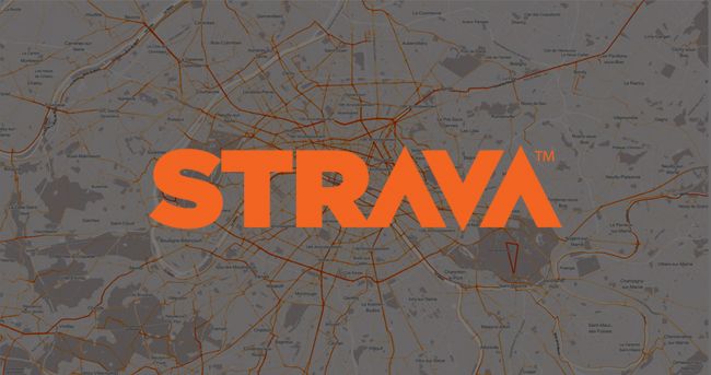 STRAVAINSIGHT-