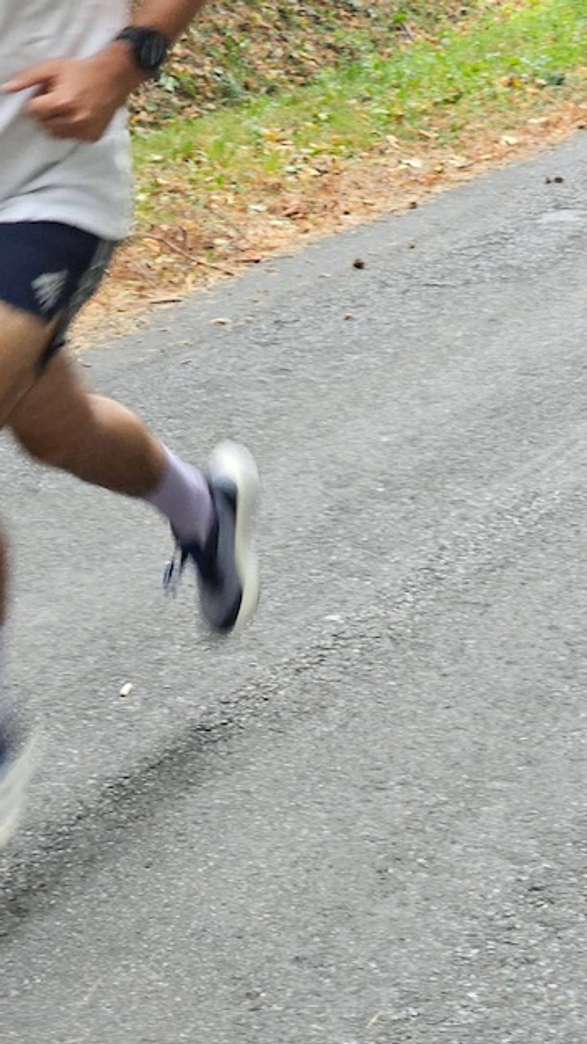 TEST ADIDAS ADIZERO BOSTON 12