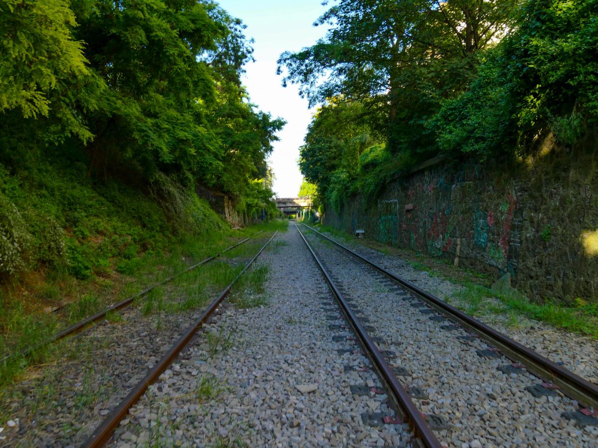 P1130454