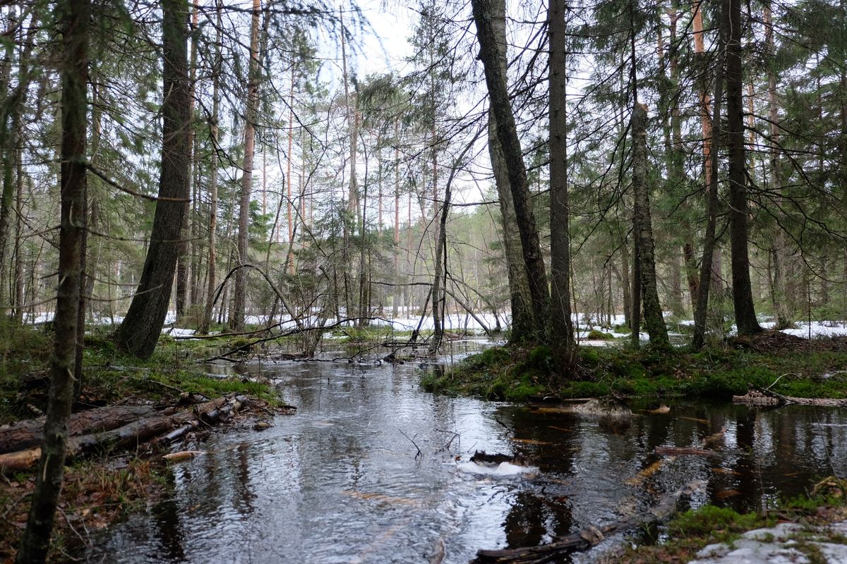 Finlande