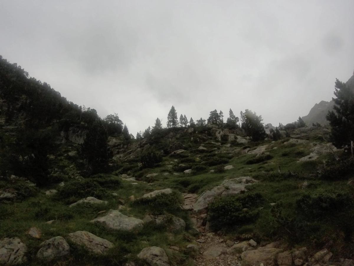 DCIM101GOPRO