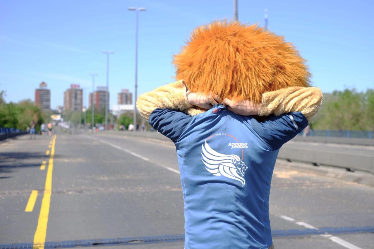 Lion (c) Guillaume Blot