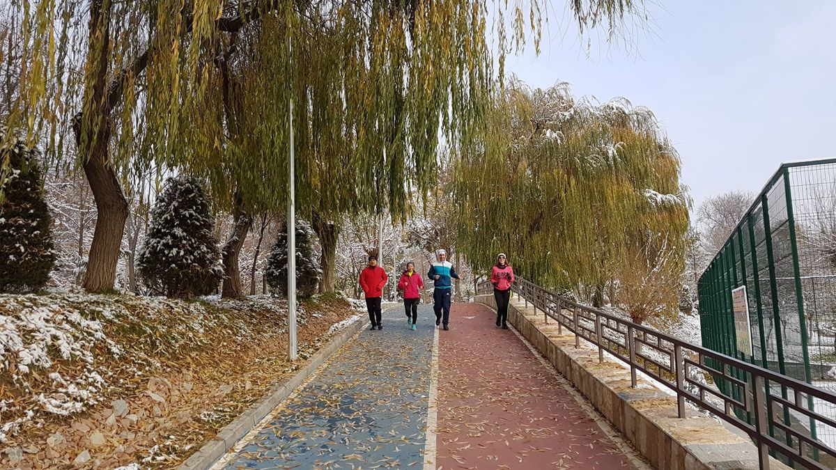 Tashkent Runners