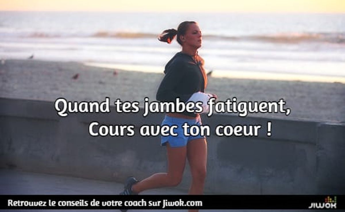 conseilalacon