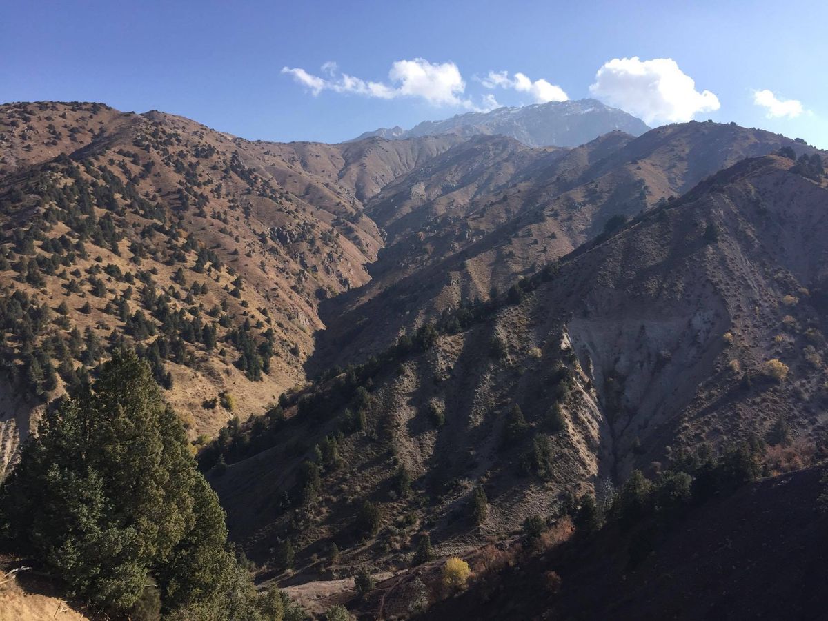 Trail Uzbekistan