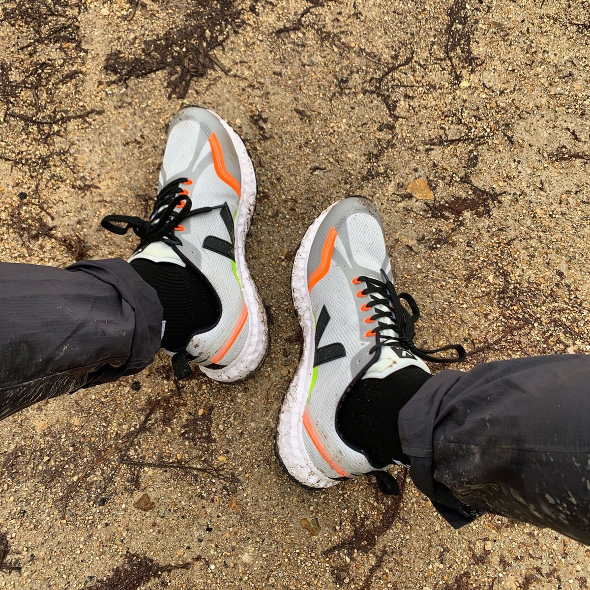 TEST VEJA CONDOR